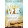 The Agenda of Angels: What the Holy Ones Want You to Know About the Next Move of God