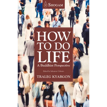How to Do Life: A Buddhist Perspective