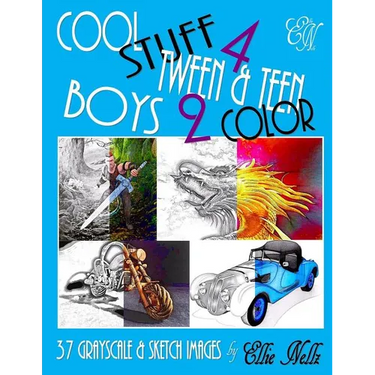 Cool Stuff 4 Tween & Teen Boys 2 Color
