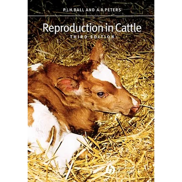 Reproduction in Cattle