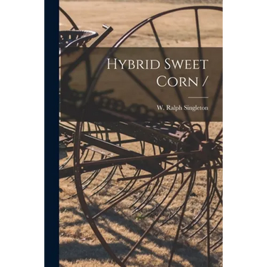 Hybrid Sweet Corn /