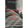Nightfall in Cairo
