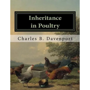 Inheritance in Poultry
