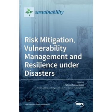Risk Mitigation, Vulnerability Management and Resilience under Disasters