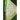 The Book of Celtic Wisdom