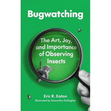 Bugwatching: The Art, Joy, and Importance of Observing Insects