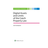Digital Assets and the Limits of Current Private Law