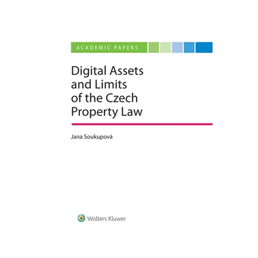 Digital Assets and the Limits of Current Private Law