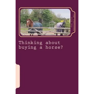 Thinking about buying a horse?: All those little things you need to think about before becoming a horse owner.