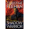 Shadow Warrior