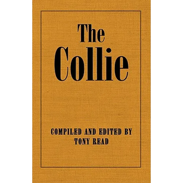 The Collie Or Sheepdog In Show And Work - Its History & Origins