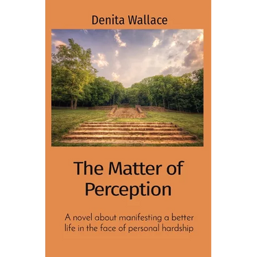 The Matter of Perception: A novel about manifesting a better life in the face of personal hardship