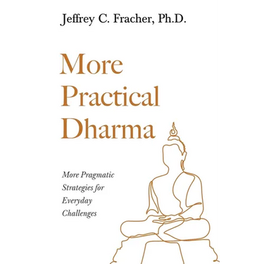 More Practical Dharma: More Pragmatic Strategies for Everyday Challenges