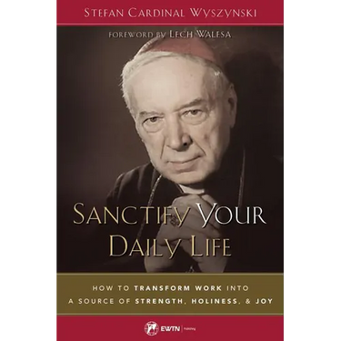 Sanctify Your Daily Life: How to Transform Work Into a Source of Strength, Holiness, and Joy
