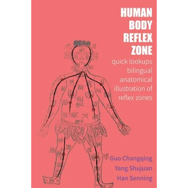 Human Body Reflex Zone Quick Lookup