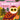 Guess Who? in the Forest