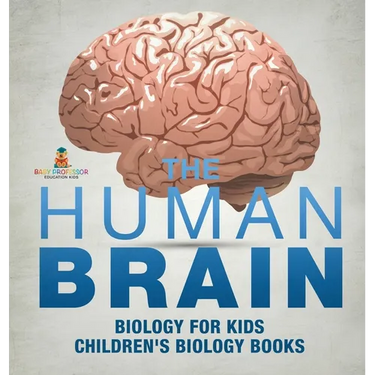 The Human Brain - Biology for Kids Children's Biology Books
