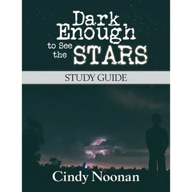 Dark Enough to See the Stars Study Guide