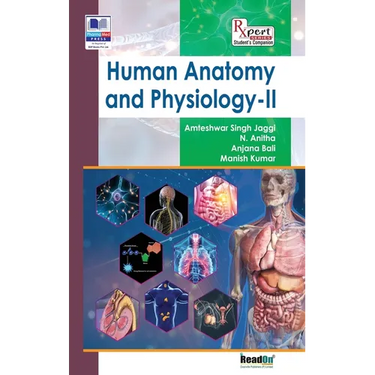 Human Anatomy and Physiology - II