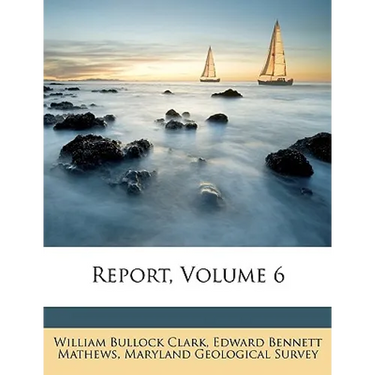 Report, Volume 6