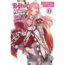 Bofuri: I Don't Want to Get Hurt, So I'll Max Out My Defense., Vol. 13 (Light Novel): Volume 13