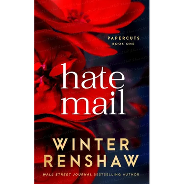Hate Mail - An Arranged Marriage Romance (Paper Cuts #1)