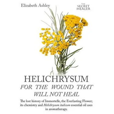 Helichrysum For The Wound That Will Not Heal: The Lost History of Immortelle, The Everlasting Flower, Its Chemistry and Helichrysum Italicum Essential