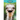 Ostriches