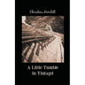 A Little Tumble in Tintagel