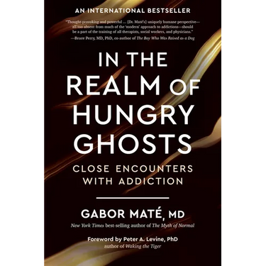 In the Realm of Hungry Ghosts: Close Encounters with Addiction