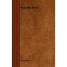 Ivan the Fool