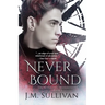 Neverbound: The Neverland Transmissions, Book 3