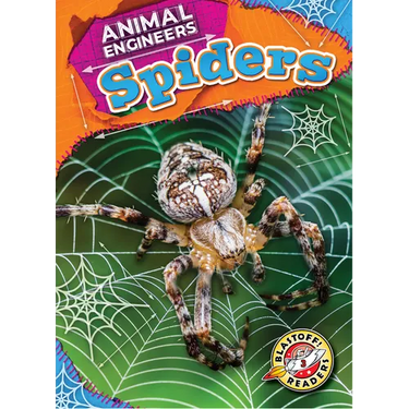 Spiders