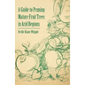 A Guide to Pruning Mature Fruit Trees in Arid Regions