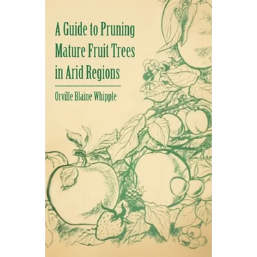 A Guide to Pruning Mature Fruit Trees in Arid Regions