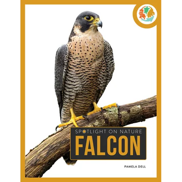 Falcon