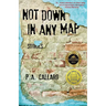 Not Down in Any Map: Stories