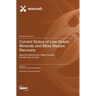 Current Status of Low-Grade Minerals and Mine Wastes Recovery: Reaction Mechanism, Mass Transfer, and Process Control