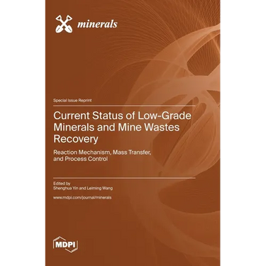 Current Status of Low-Grade Minerals and Mine Wastes Recovery: Reaction Mechanism, Mass Transfer, and Process Control