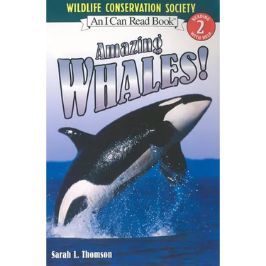 Amazing Whales!