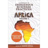 Casebook of Indigenous Business Practices in Africa: Apprenticeship, Craft, and Healthcare - Volume 1