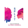 Split: Souls in Transition