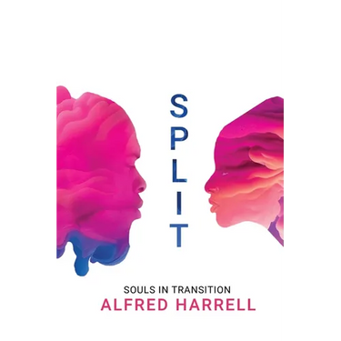 Split: Souls in Transition