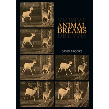 Animal Dreams