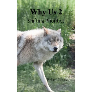 Why Us 2: Shifting Priorities