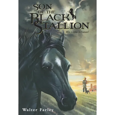 Son of the Black Stallion