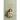 The children of Sophia