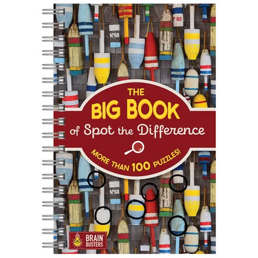 The Big Book of Spot the Difference