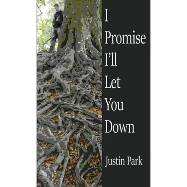 I Promise I'll Let You Down
