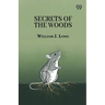 Secrets Of The Woods